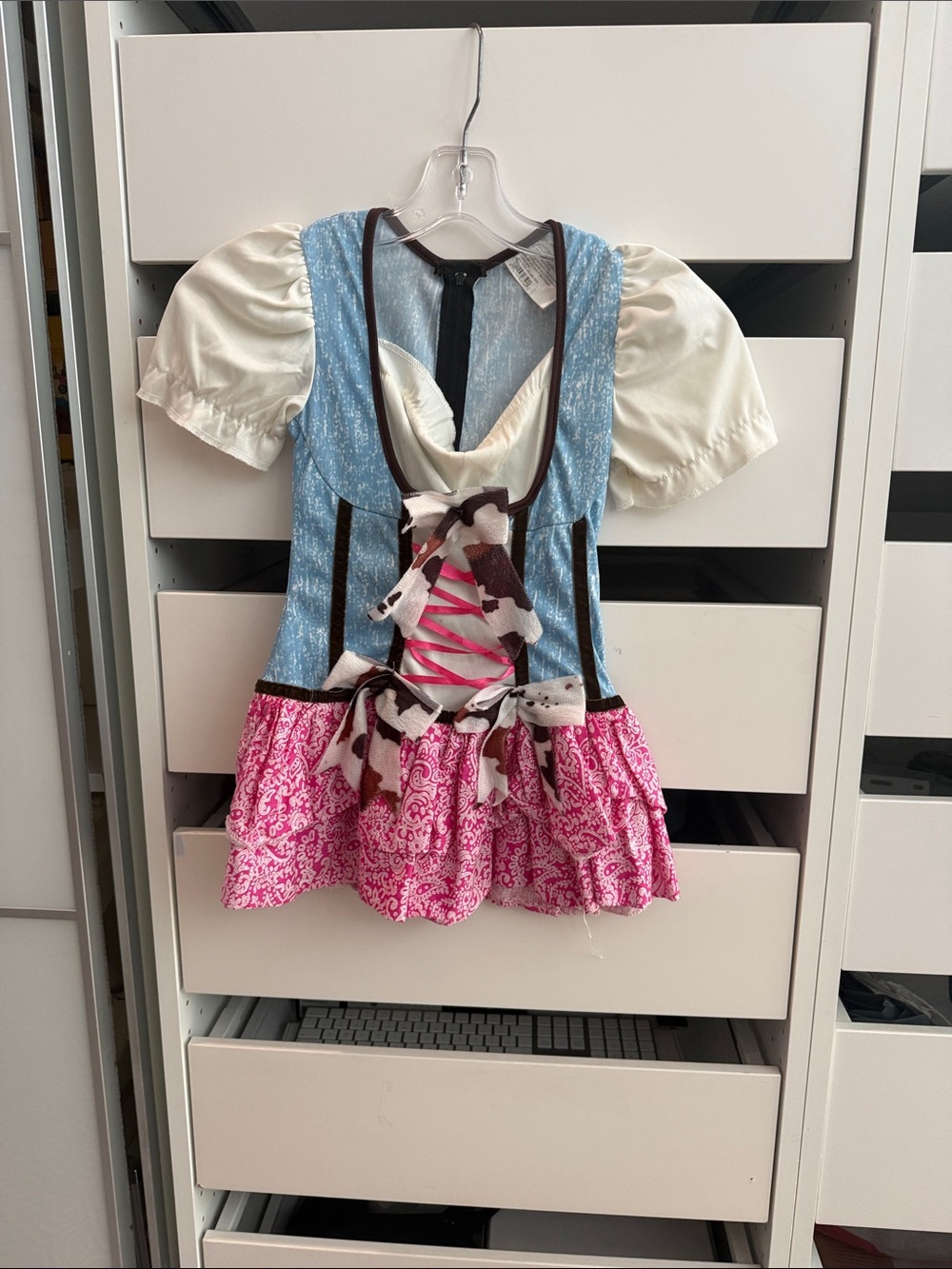 Blue & Pink Bavarian-Style Costume Dress